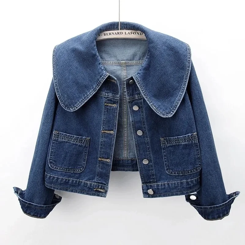 2024 novo outono feminino deni - Down Jacket Packable avaliação e preço