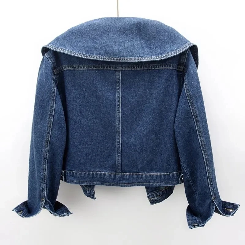 2024 novo outono feminino deni - Down Jacket Packable avaliação e preço