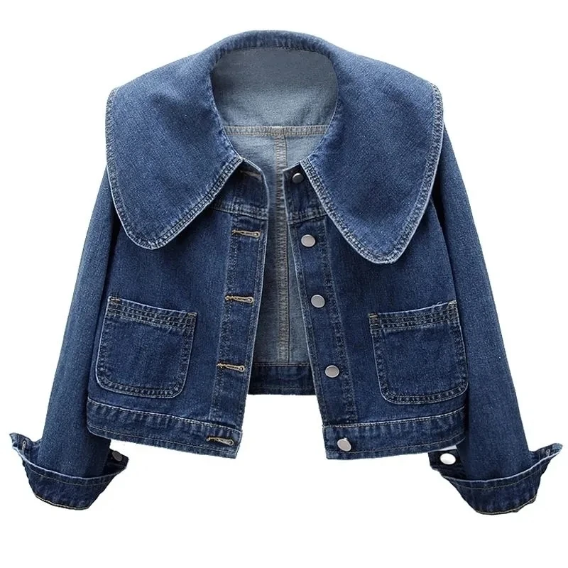 2024 novo outono feminino deni - Down Jacket Packable avaliação e preço